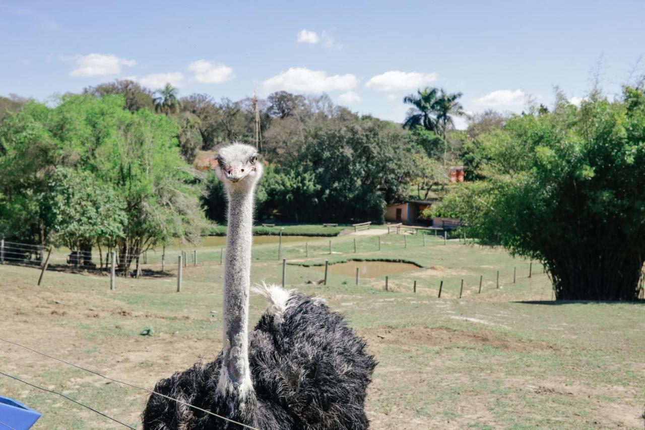 Hotel Fazenda Ararita Pôrto Feliz Eksteriør billede