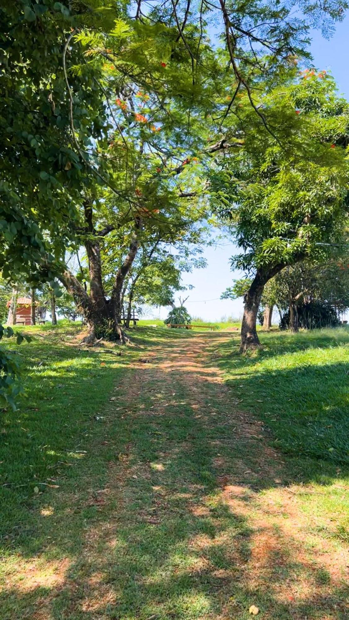 Hotel Fazenda Ararita Pôrto Feliz Eksteriør billede