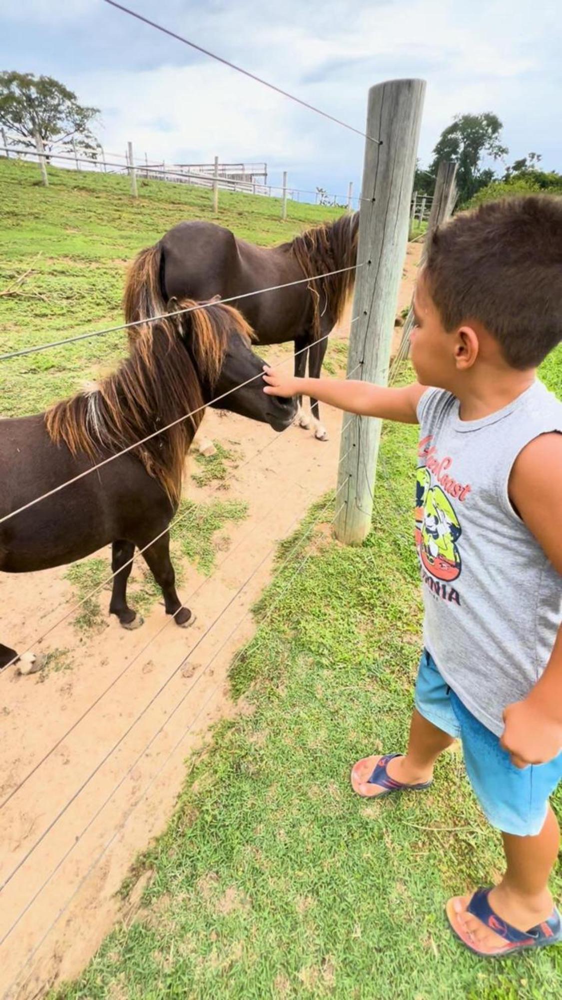 Hotel Fazenda Ararita Pôrto Feliz Eksteriør billede